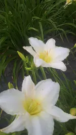 20250706_140140.webp
