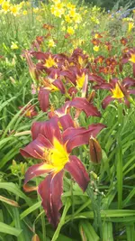 20250706_140122.webp