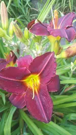 20250706_140103(0).webp