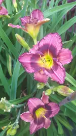 20250706_140049.webp
