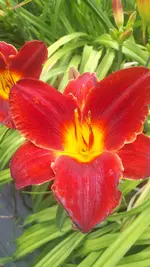 20250706_140027.webp