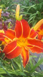 20250706_140042.webp