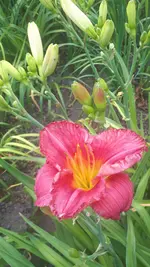 20250706_140332.webp