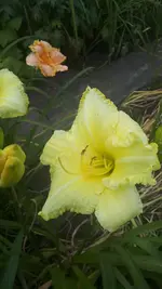 20250706_140324.webp