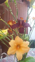 20250706_141746.webp
