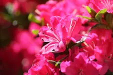 IMG_0114.webp