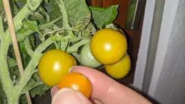 IMG_20250706_215335.webp