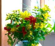 P1020304.webp