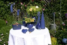IMG_1272.webp