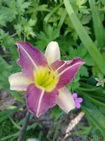 20250703_105009.webp