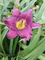 20250703_105000.webp