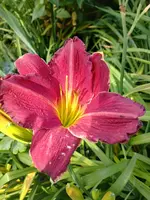 20250703_104810.webp