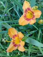 20250703_104758.webp