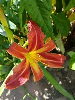 20250703_104303.webp