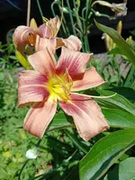 20250701_140907.webp