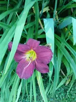 20250629_111804.webp