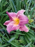 20250626_211358.webp