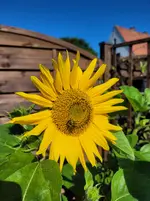 20250704_092728.webp