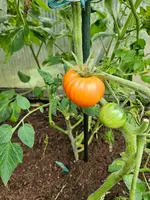 20250707_174843.webp
