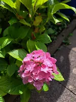20250708_163141.webp