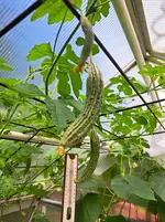 20250708_162736.webp