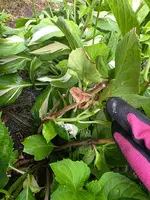 20250709_141836.jpg.webp