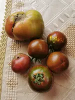IMG_20250709_154228.webp