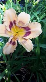 20250709_144231.webp