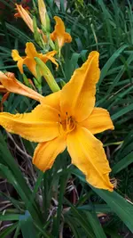 20250709_160316.webp