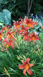 20250710_180324.webp
