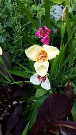 20250710_144115.webp