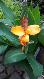 20250709_165033.webp