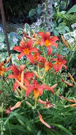 20250710_180246.webp