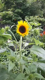 20250710_180233.webp