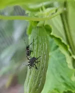 20250710_182925.webp