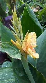 20250710_174026.webp