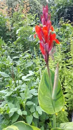 20250709_165023.webp
