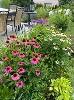 IMG_8930.webp