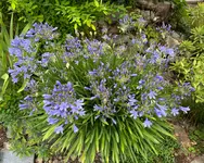 IMG_8927.webp