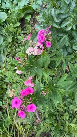 IMG_4987.webp
