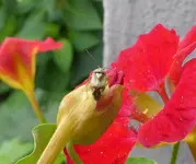 25.webp