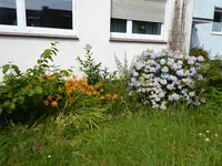 P1080718.webp