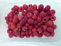 P1080725Himbeeren.webp