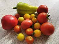 IMG_20250712_175456.webp