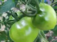 IMG_20250713_105829_1.webp