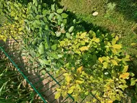 20250713_164427.webp