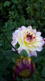 20250713_190824.webp