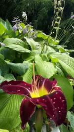 20250713_140806.webp