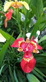 20250715_101724.webp