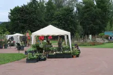 IMG_2405.webp